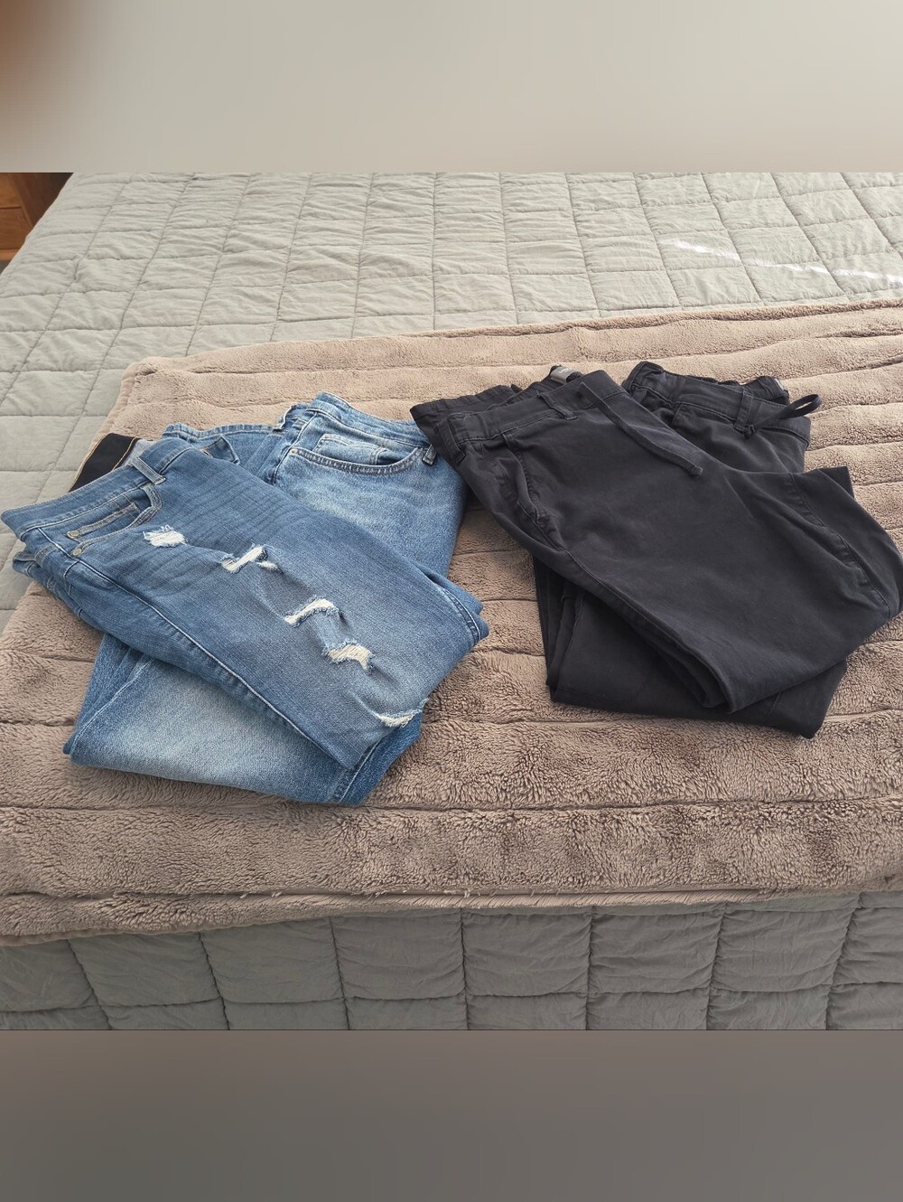 Womens Torrid Jeans/pants
